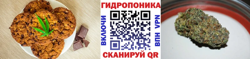 сколько стоит  Инза  Canna-Cookies марихуана 
