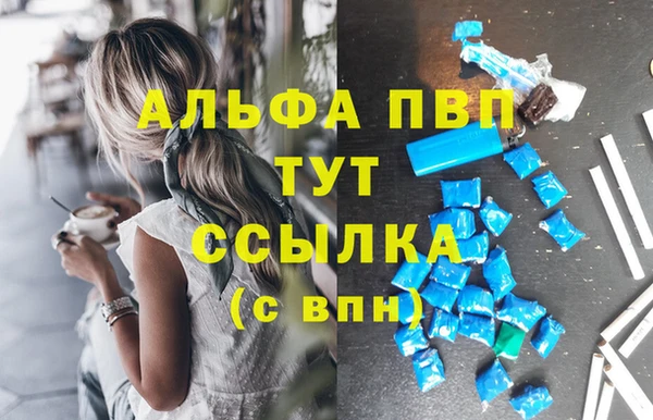 PSILOCYBIN Осташков