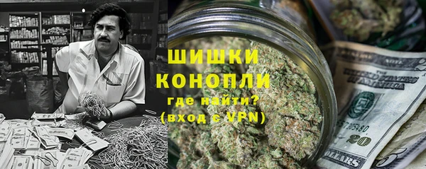 PSILOCYBIN Осташков