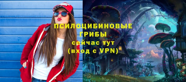 МДПВ Инта