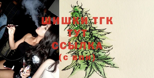 МДПВ Инта