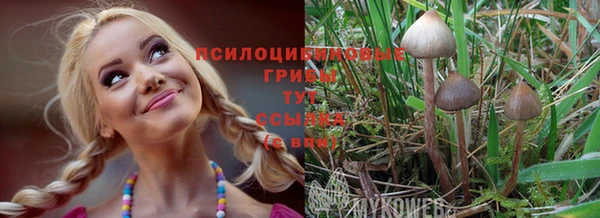 метадон Гвардейск